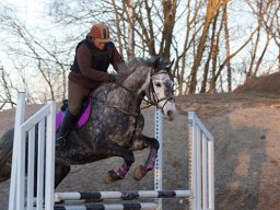 IMG-2196-038